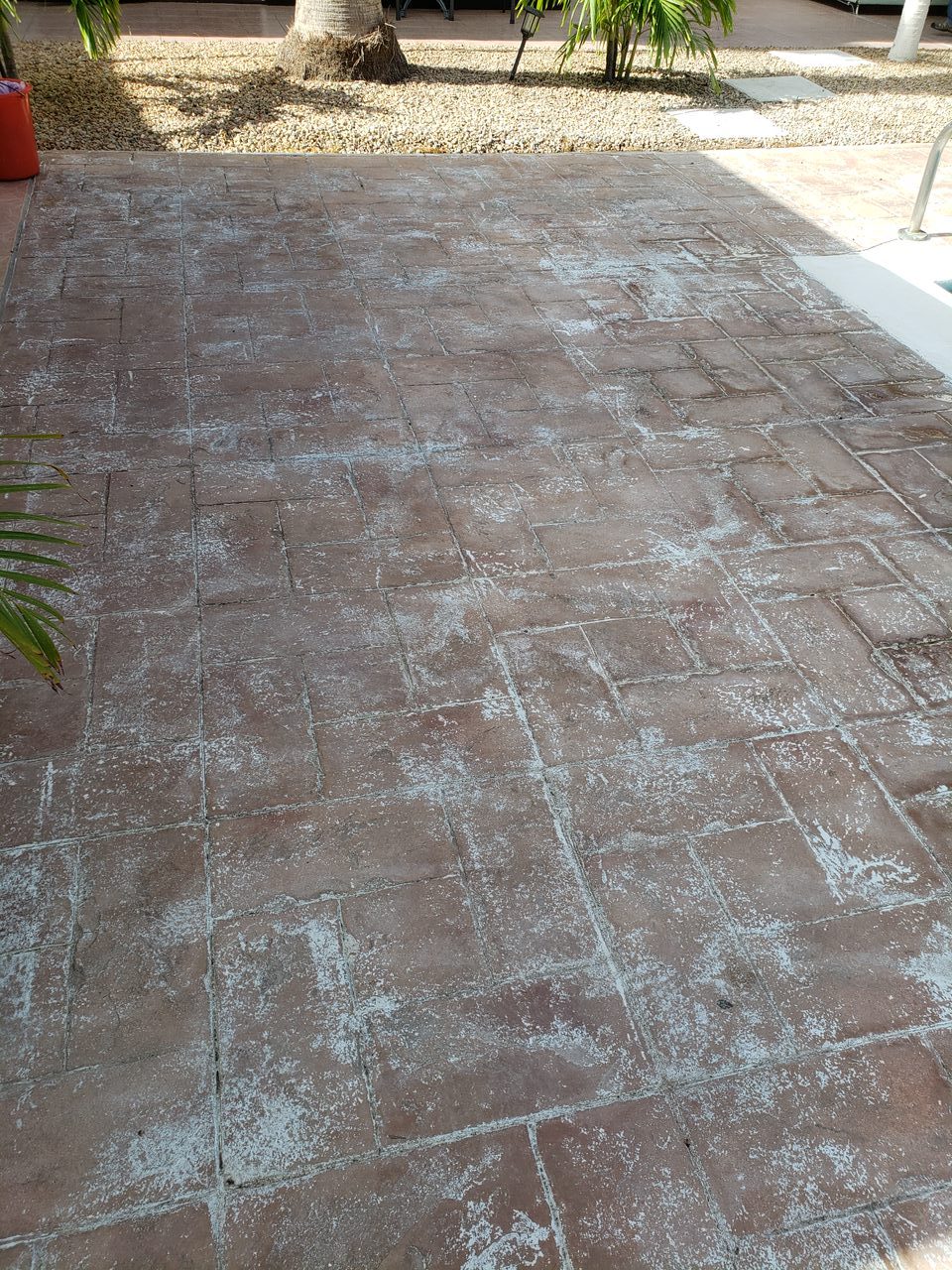 Floor Restoration