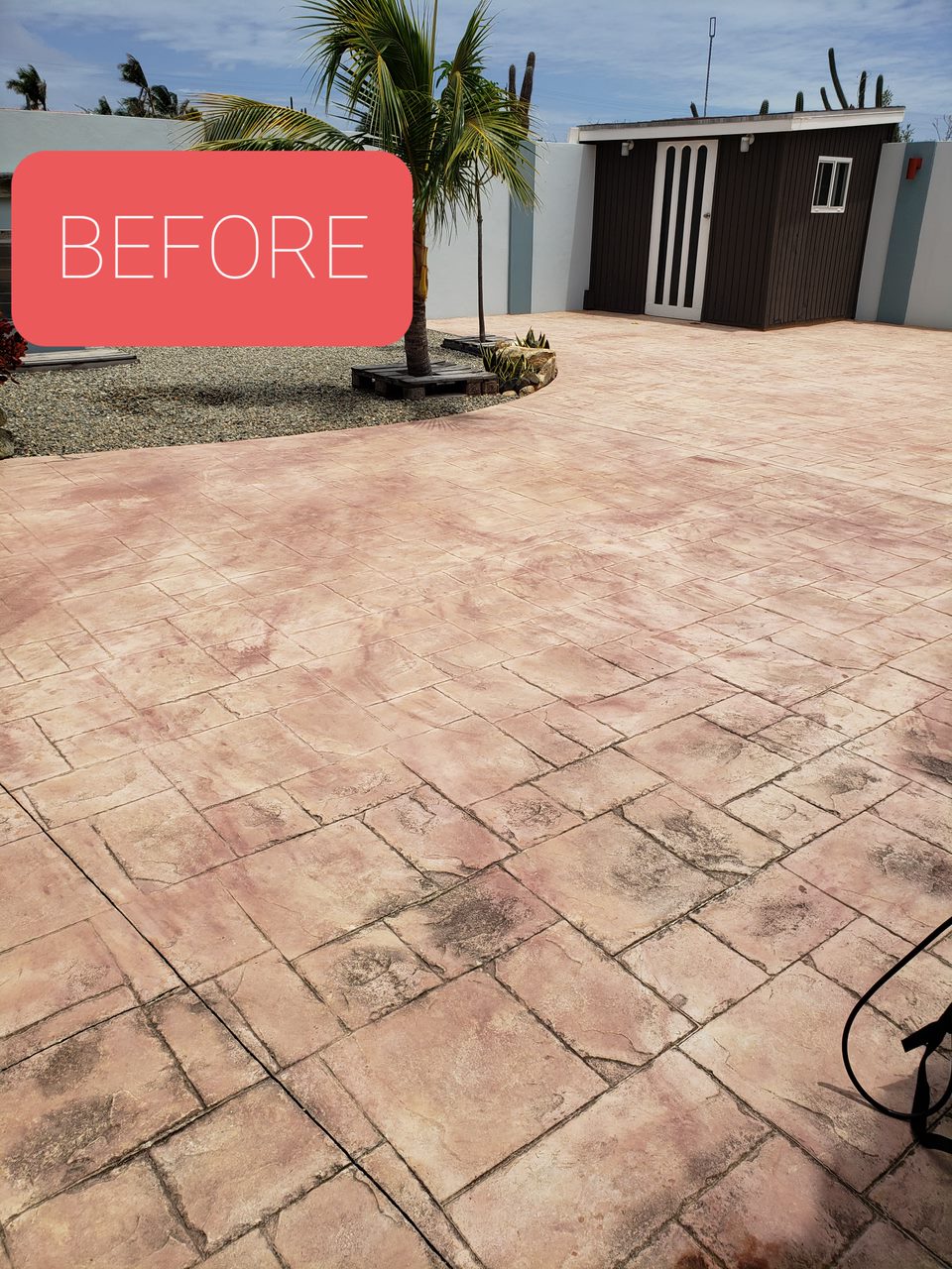 Floor Restoration
