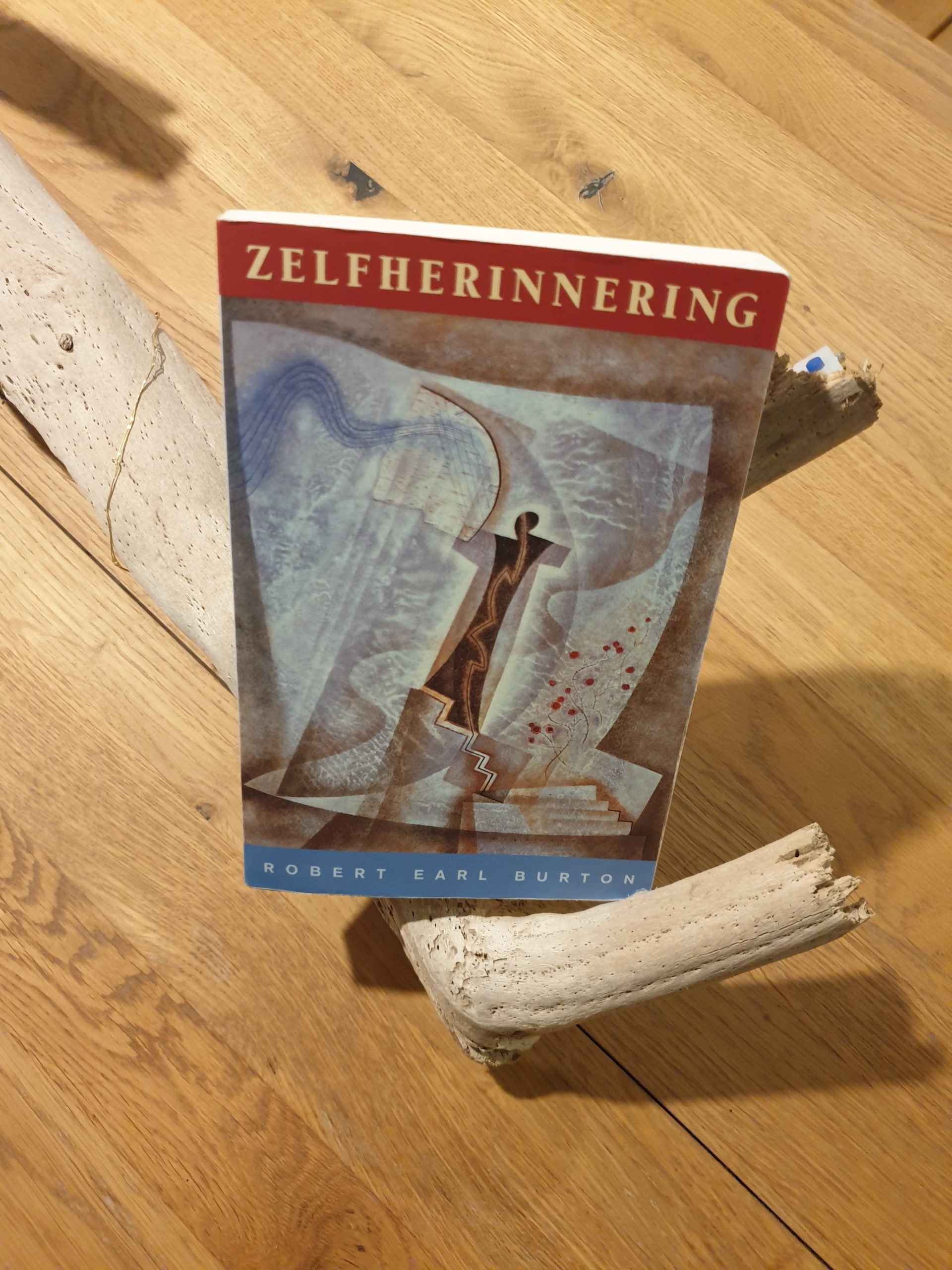 Zelfherinnering