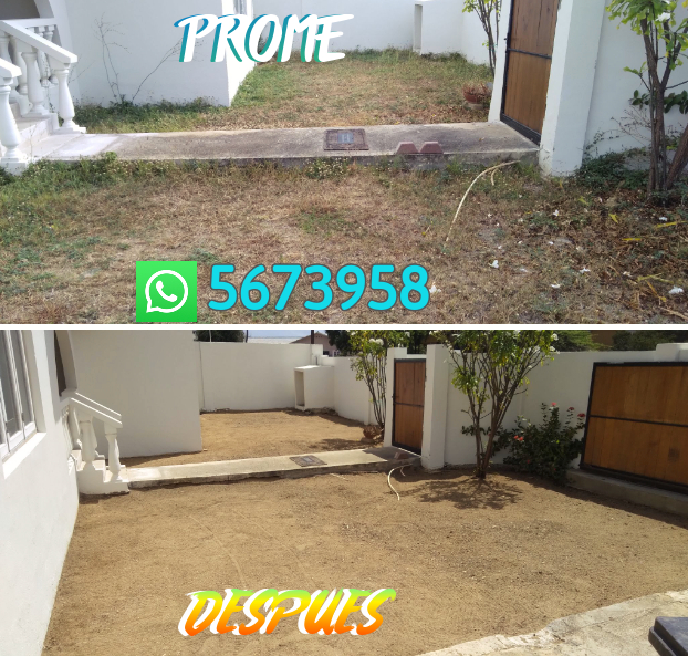 Gardening, Corta Palma, Trim Mata, Chapi etc