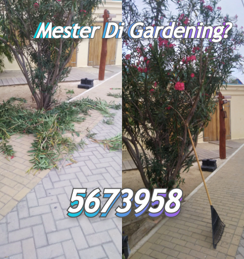 Gardening, Corta Palma, Trim Mata, Chapi etc