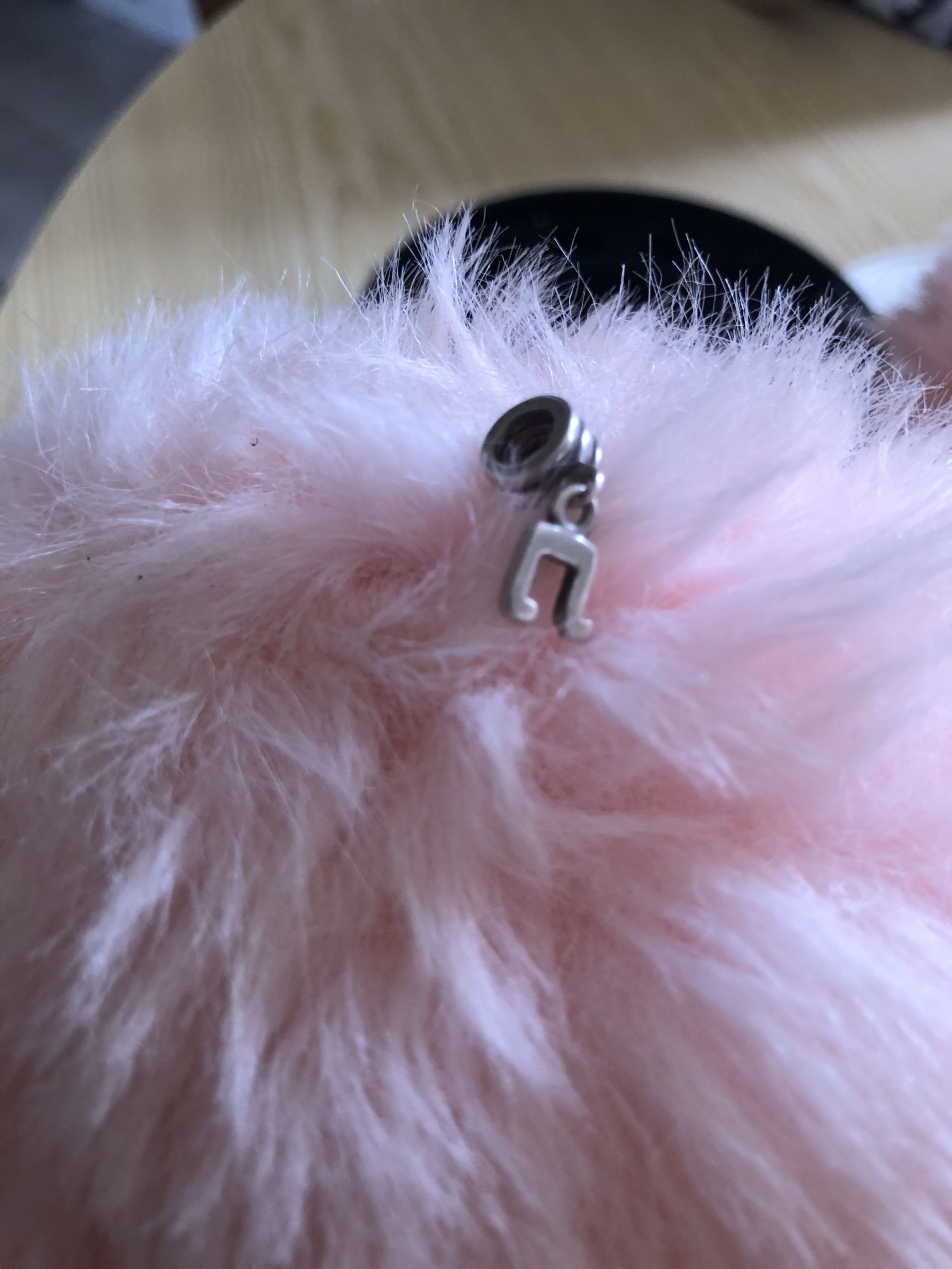 Pandora Ring and charms