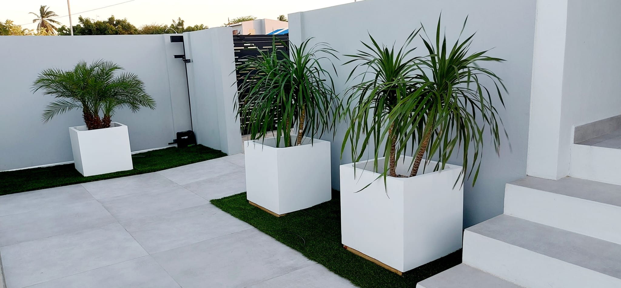 Cement Planters
