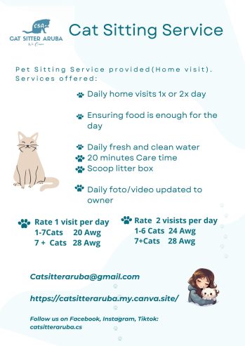 Cat sitting Service provided in your home