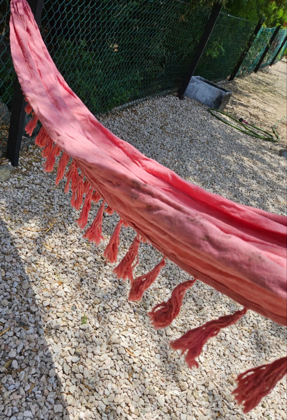 Hammock