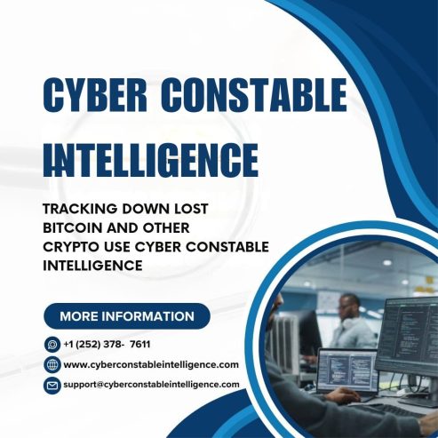 RECOVER LOST OR STOLEN CRYPTO ASSETS THROUGH CYBER CONSTABLE