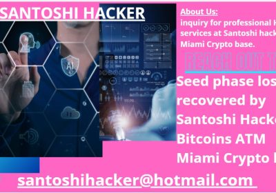 d04a2d55-23dc-464a-ad7d-c6ceb3b41b9a-santoshi-hacker-image