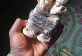 Binding spell +27634002579 Lost love/Obsession spells Dubai