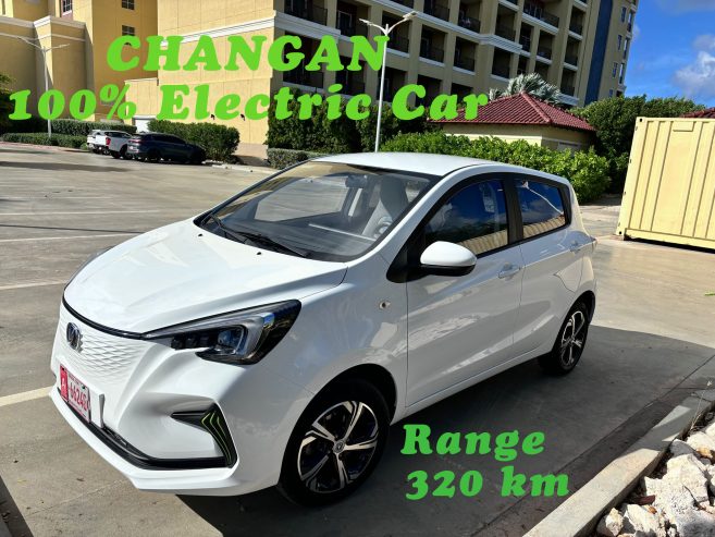 CHANGAN E-STAR 100% Electrical Car